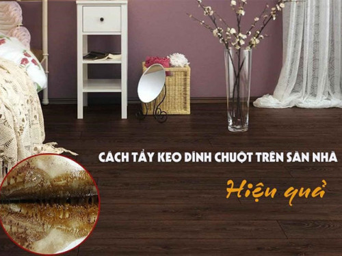 Hướng dẫn cách tẩy keo dính chuột dính trên sàn nhà và quần áo hiệu quả