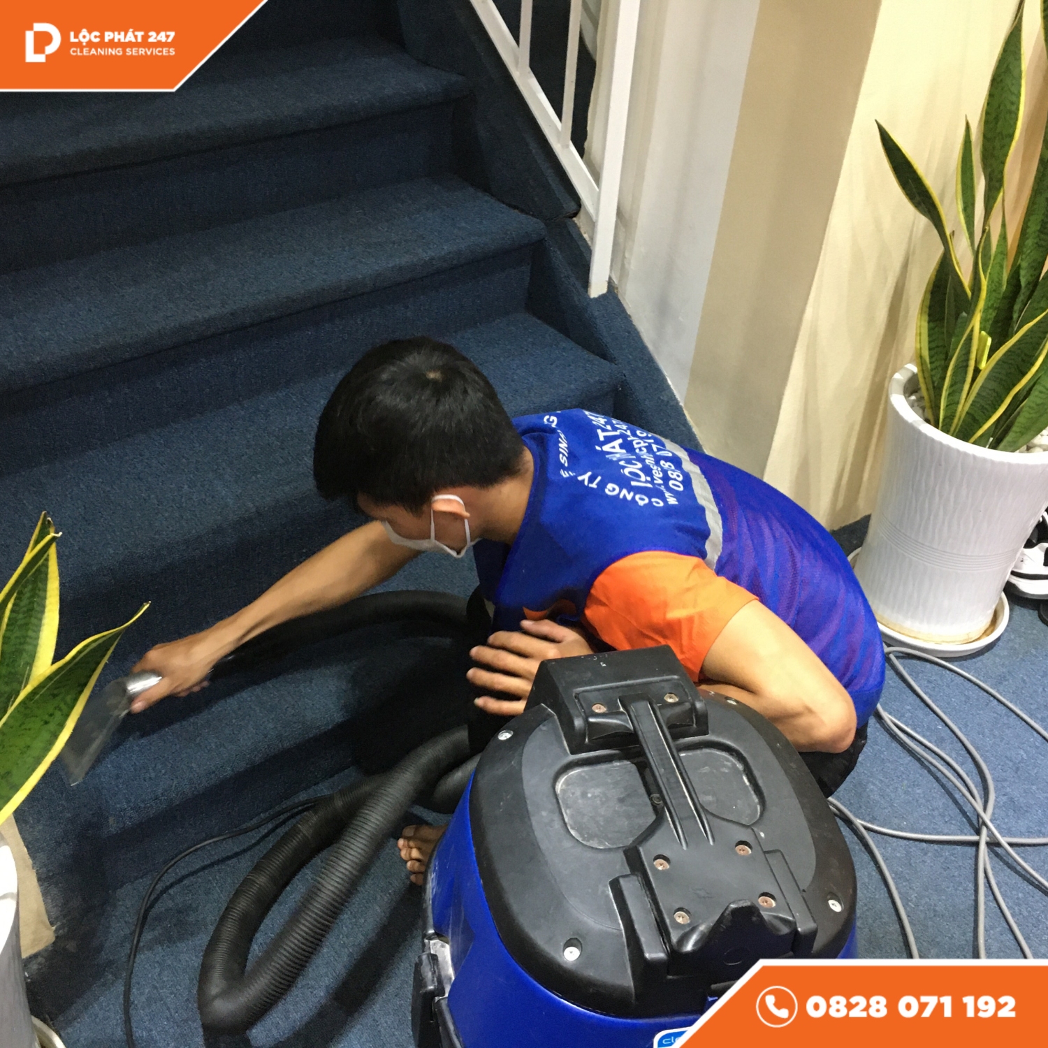 dịch vụ giặt thảm sàn tphcm